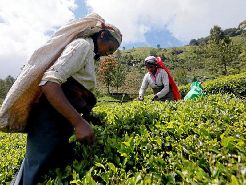 Bu ölkə xarici borcunu çayla ödədi - MARAQLI SƏBƏB