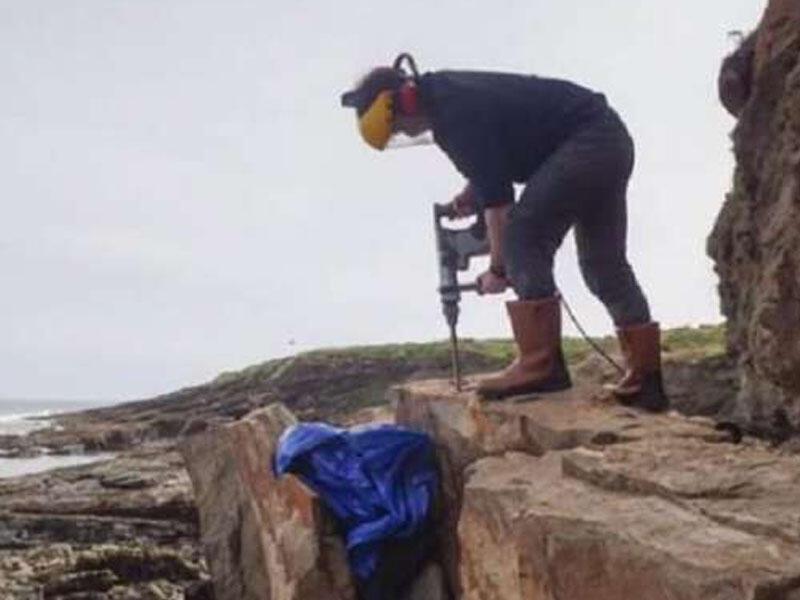 Qayanı parçalayanda gördüklərinə inanmadı: 64 ayağı olan canlı... - FOTOlar