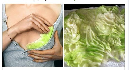 Sinəyə kələm qoyun, nəticə inanılmaz! Hətta bütün növ kistaları, şişləri belə 3 gündə əridir! QAYDASI