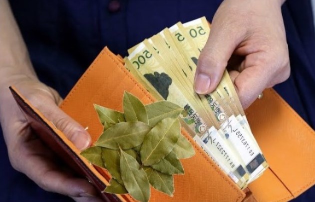 Pulunuzun ÇOX olmasını istəyirsinizsə: Dəfnə pulu maqnit kimi çəkir, sadəcə BUNU edin!