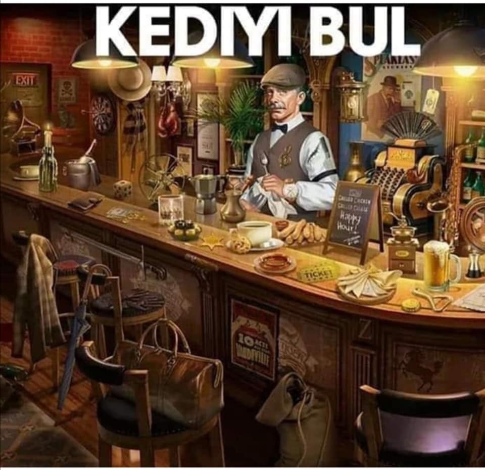 Fotoda gizlənmiş pişiyi kim görür? —   DİQQƏT TESTİ