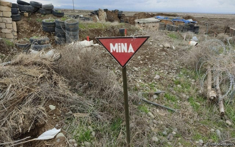 Ağdamda çoban minaya düşdü
