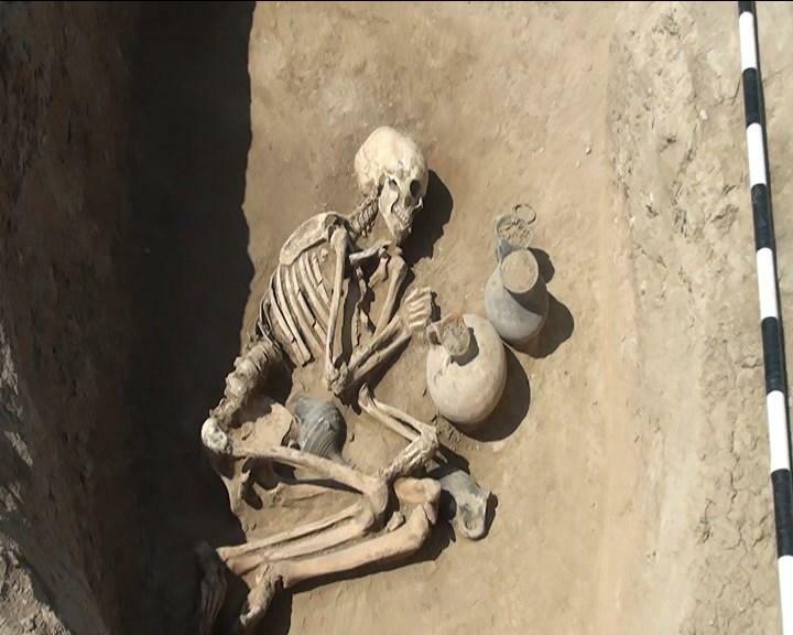 Goranboyda eradan əvvələ aid insan skeletləri aşkarlandı - FOTO