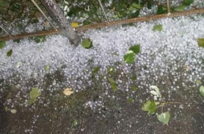 Novxanıya yenidən dolu YAĞIR - VİDEO 