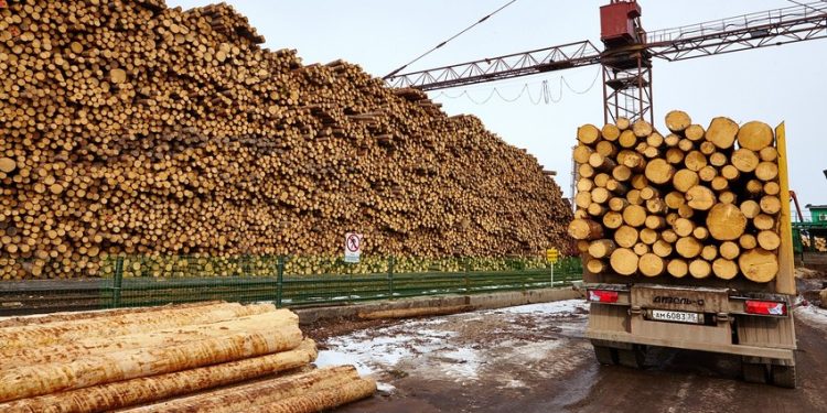 Azərbaycan bu il Başqırdıstanın əsas taxta idxalçısı olub