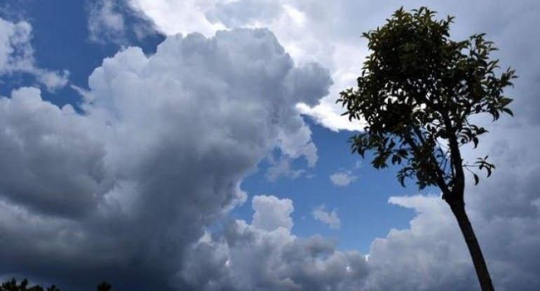 Sabahın hava proqnozu açıqlandı
