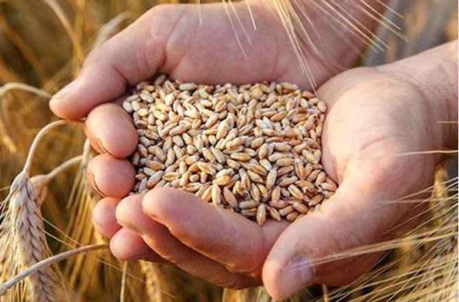 DÜNYAYA XƏBƏRDARLIQ: Gələn il aclıq başlayır&nbsp;