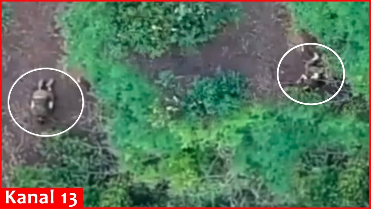 Dron səngərdə gizlənən rusları belə məhv etdi - VİDEO