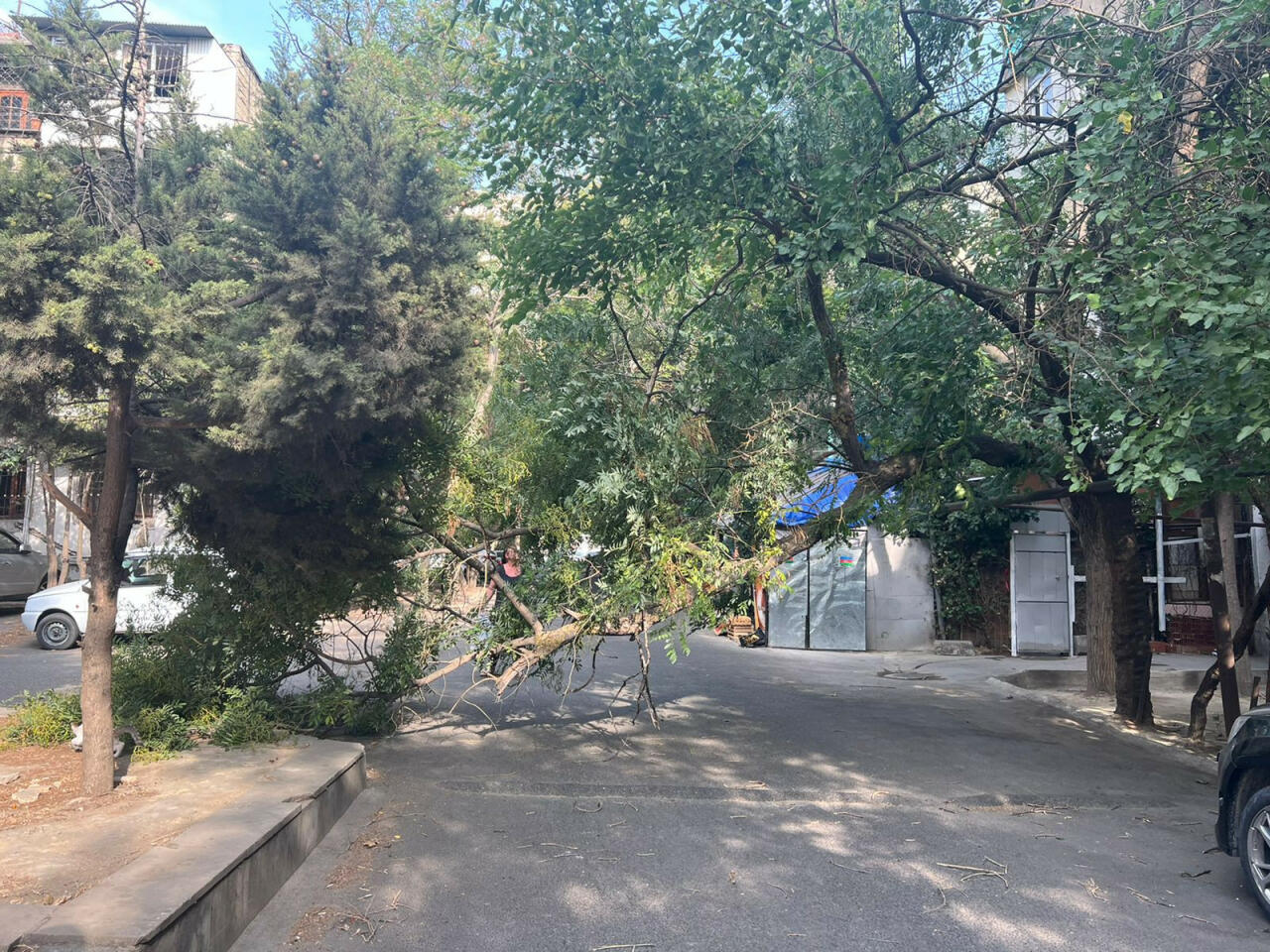 2022/09/05/1662387082_1069442_3.jpg
