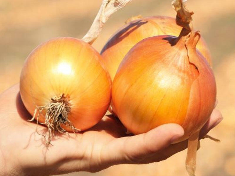 Yatmazdan əvvəl bir baş soğan yeyin 