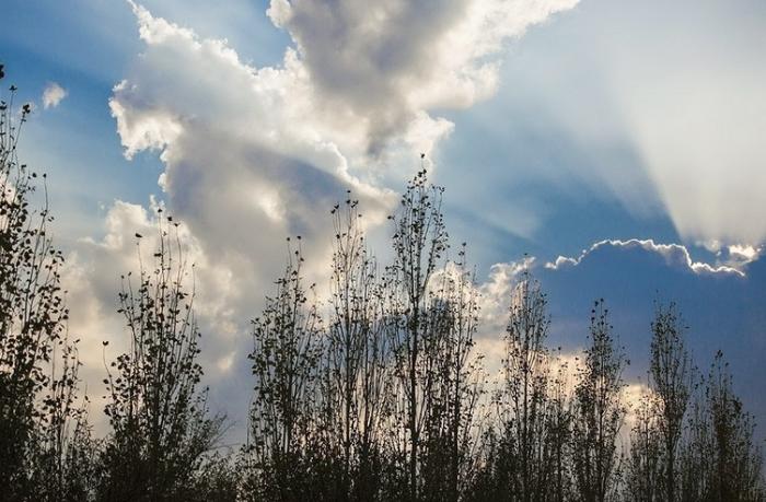 İstirahət gününün hava proqnozu açıqlandı