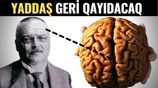 BEYİN GÜCÜNÜ Artıran 10 Vərdiş - MÜTLƏQ OXUYUN!