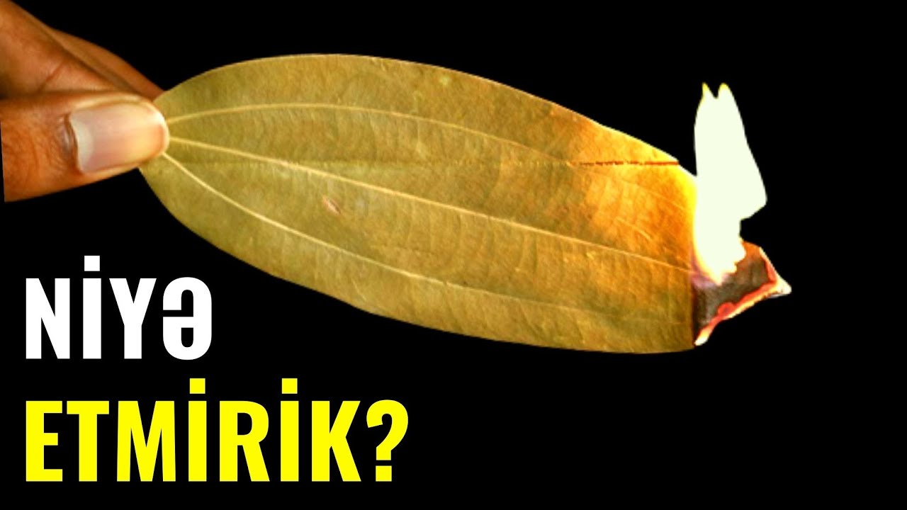 DƏFNƏ YARPAĞINI Bu Şəkildə İstifadə Etsəniz...(VİDEO)