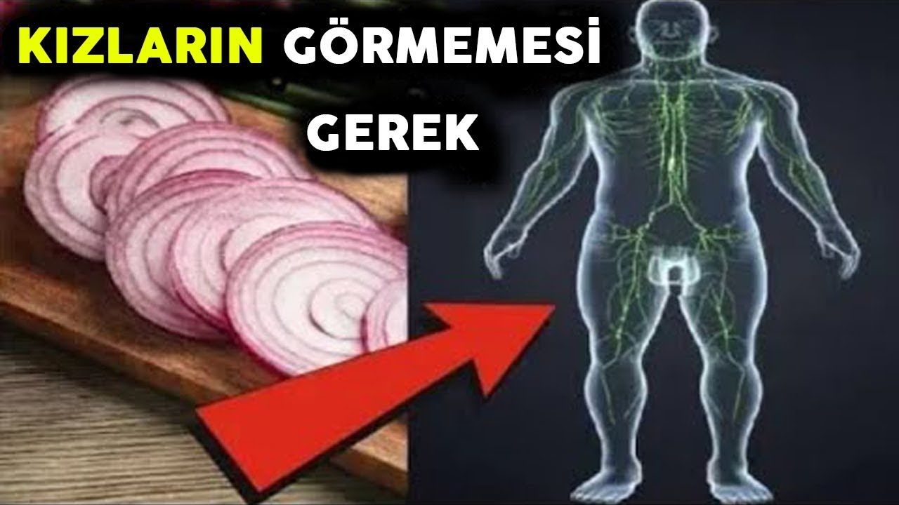 Hər Gün 1 SOĞAN YEYİN! - Görün Sizə Nə Edəcək...