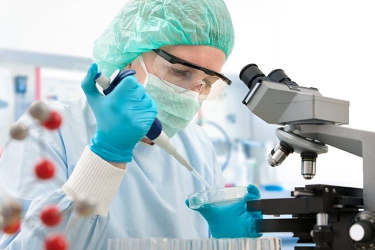 Azərbaycanda virus yayılıb - RƏSMİ