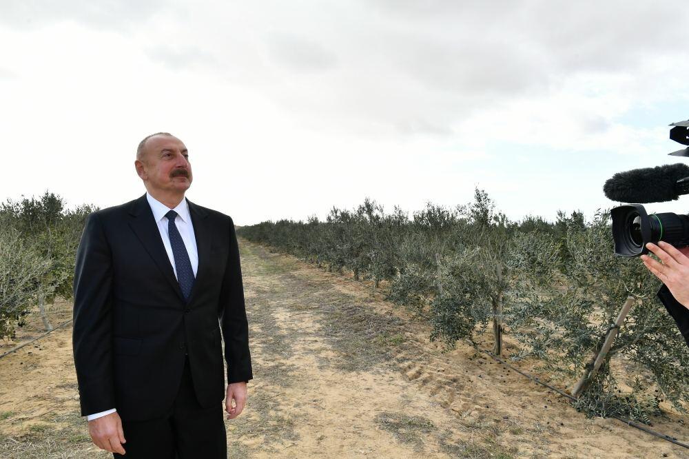 İlham Əliyev: Ölkə daxilində minlərlə iş yeri yaratmaq planlarımız var