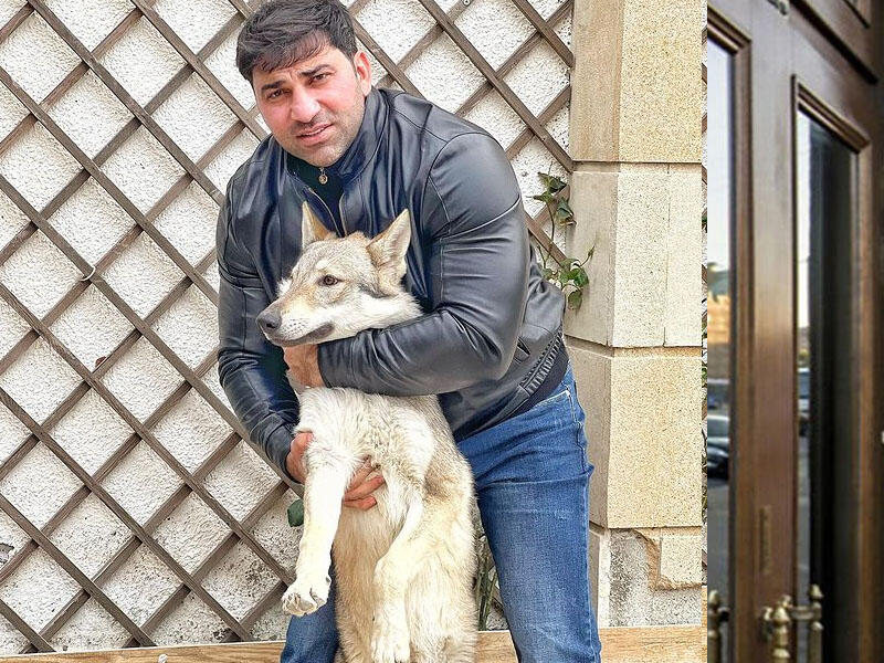 Kamil Zeynallı canavar aldı - Ondan Azərbaycanda yoxdur - FOTO