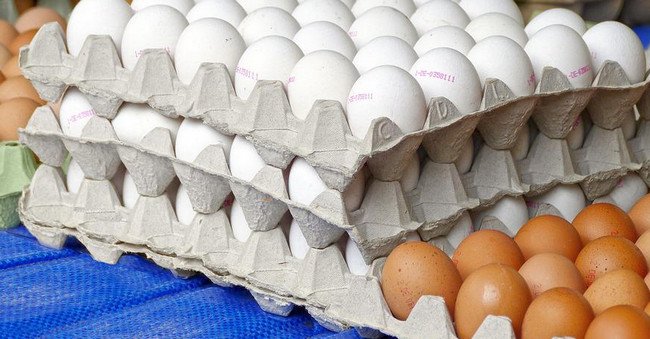 Yumurtanın genetik tərkibi ilə oynanılır: - \\\"Ölkəmizdə buna \\\"yaşıl işıq\\\" yandırılıb\\\"