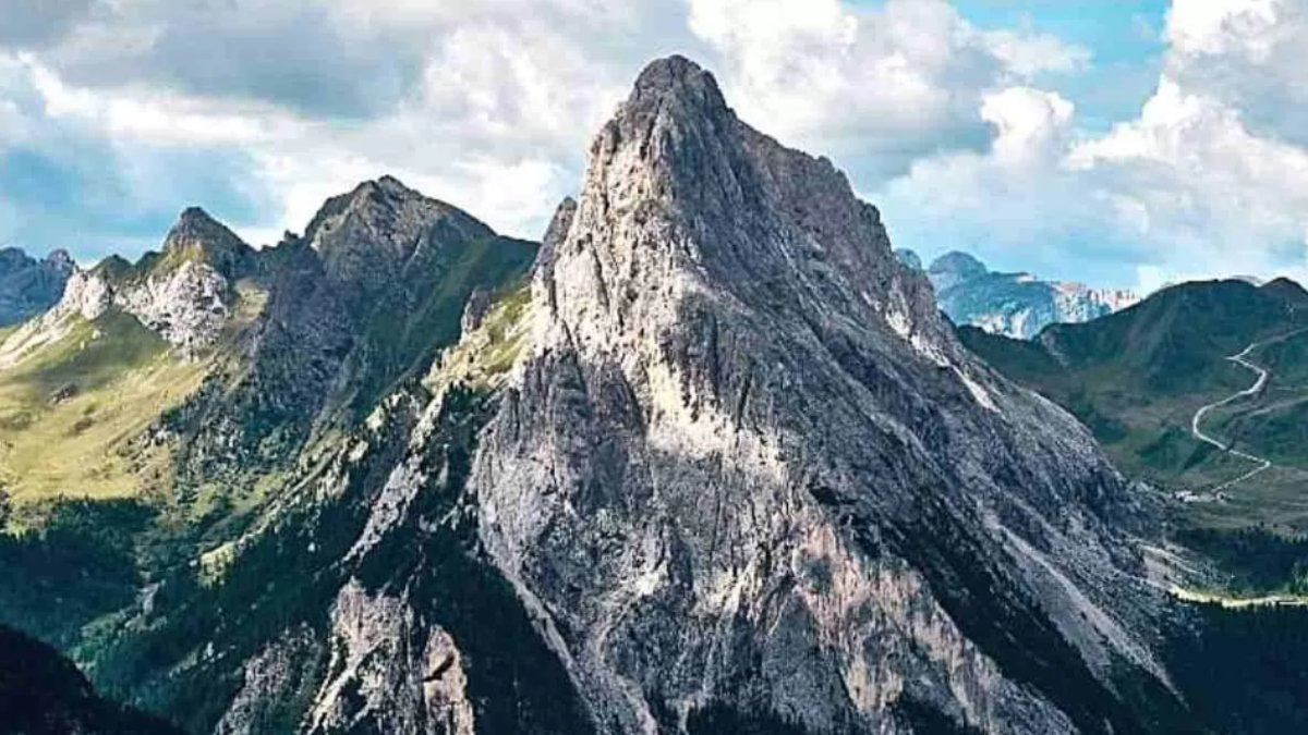 Fotoda qartalı kim görür - DİQQƏT TESTİ
