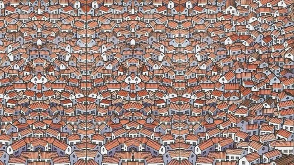 Fotoda pişiyi kim görür? - DİQQƏT TESTİ