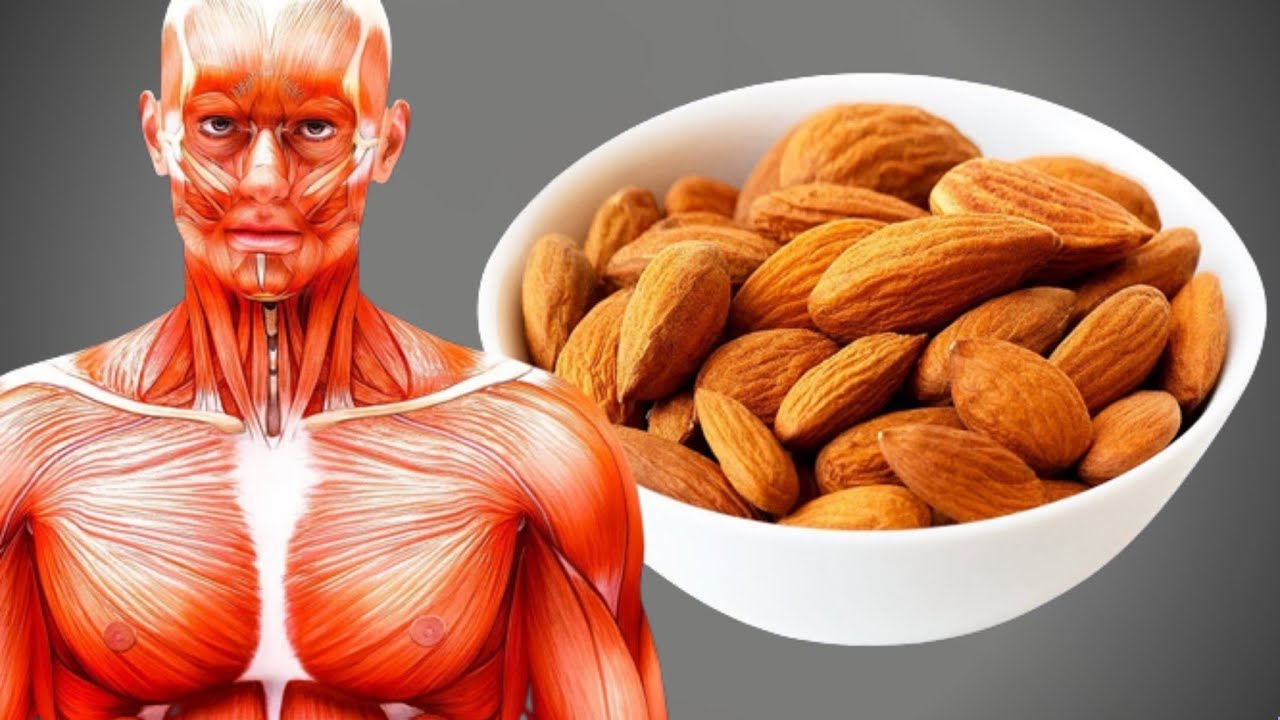 Hər Gün 20 Badam Yesəniz, Sizə Nələr Olar?(VİDEO)