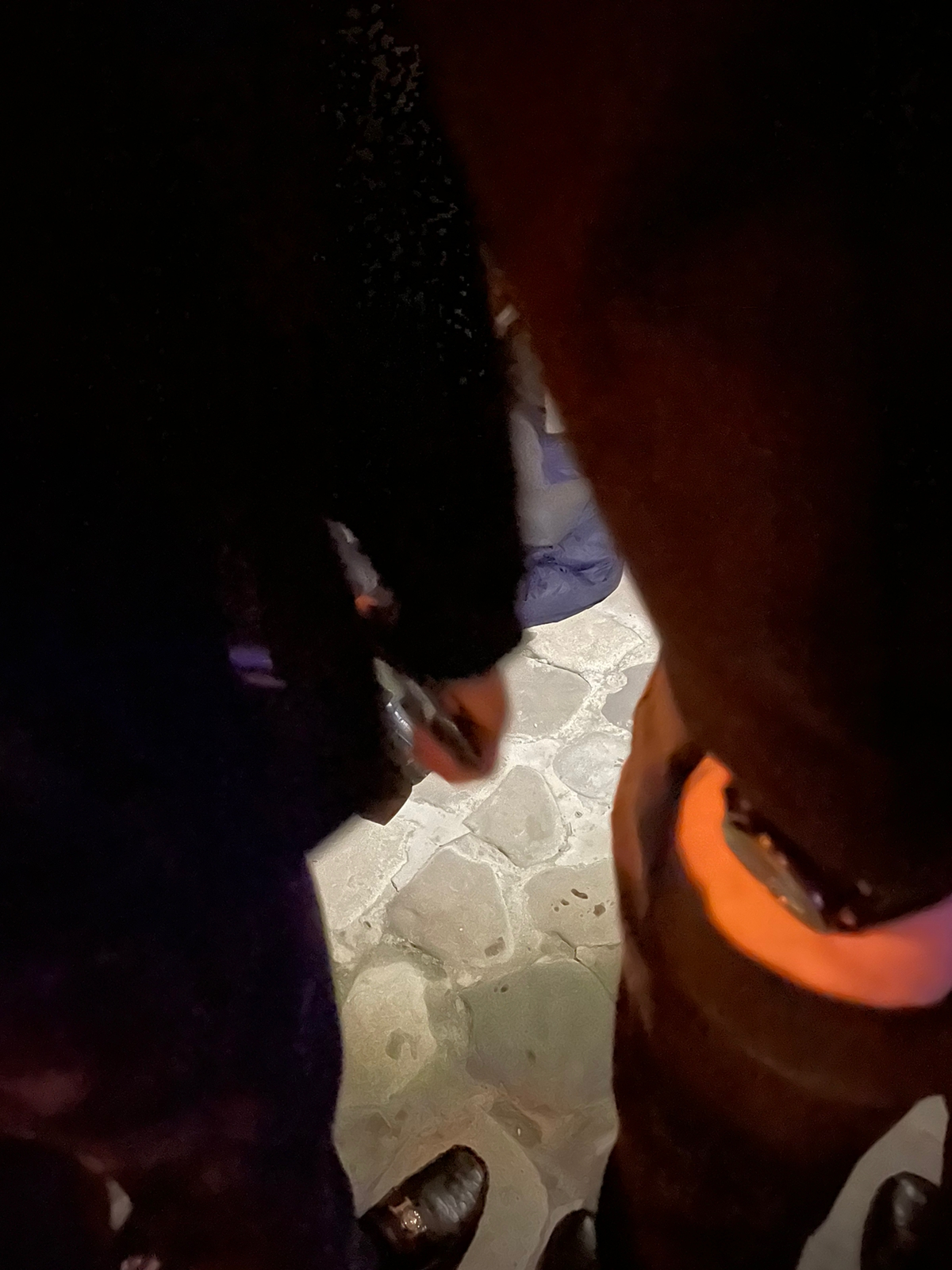2023/01/20/1674236085_1674235265_c93bb7d7-5c99-4ed2-9063-31580e459304.jpeg