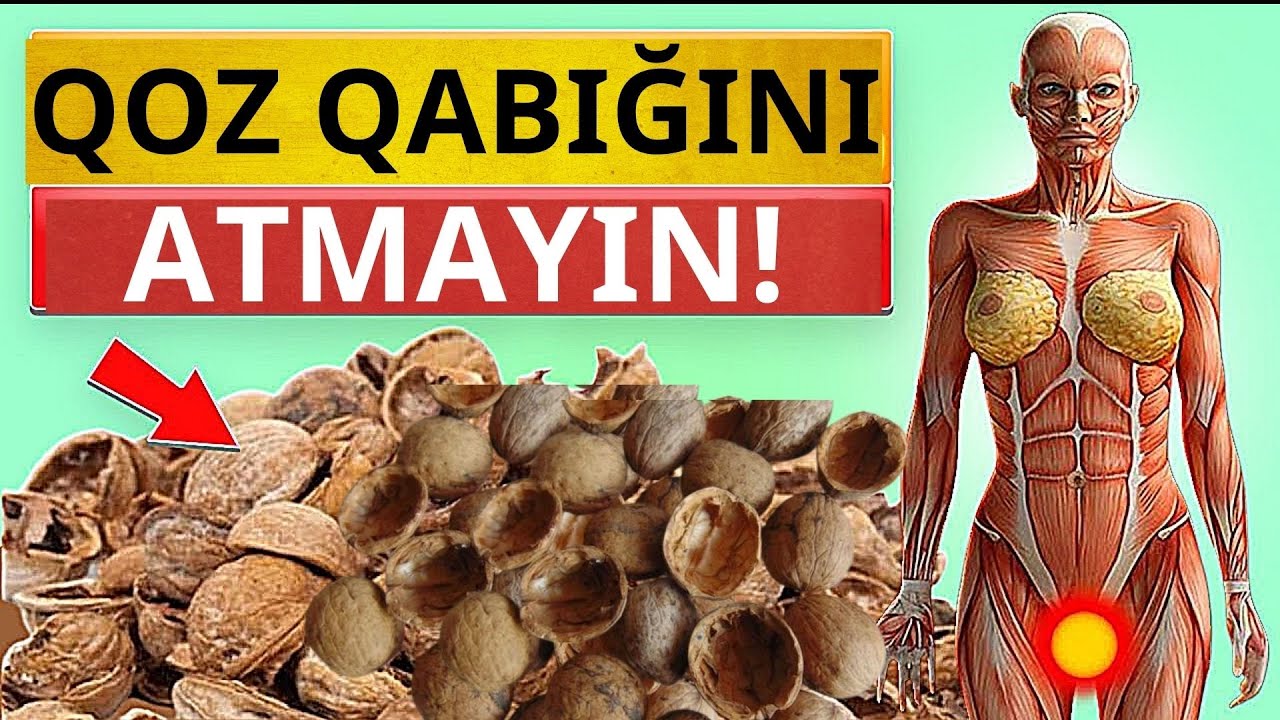 Faydalarını biləndən sonra qoz qabığını zibil qabına atmaycaqsız!