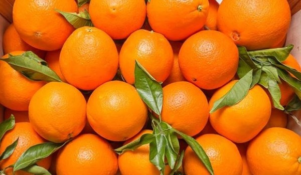 İrandan Azərbaycana gətirilən 20 tona yaxın zərərli portağal məhv edilib