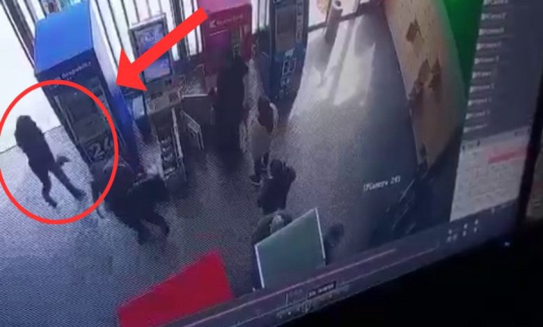 Polisin zərərsizləşdirdiyi cinayətkar görün hansı rayondan imiş