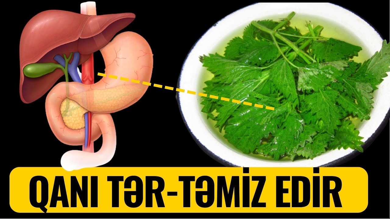 Bədəni 1 həftəyə iltihabdan təmizləyir - HAZIRLANMA QAYDASI