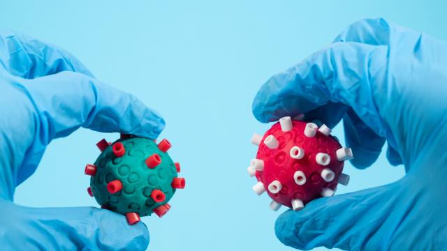 Hindistanda ölümcül virus yayıldı