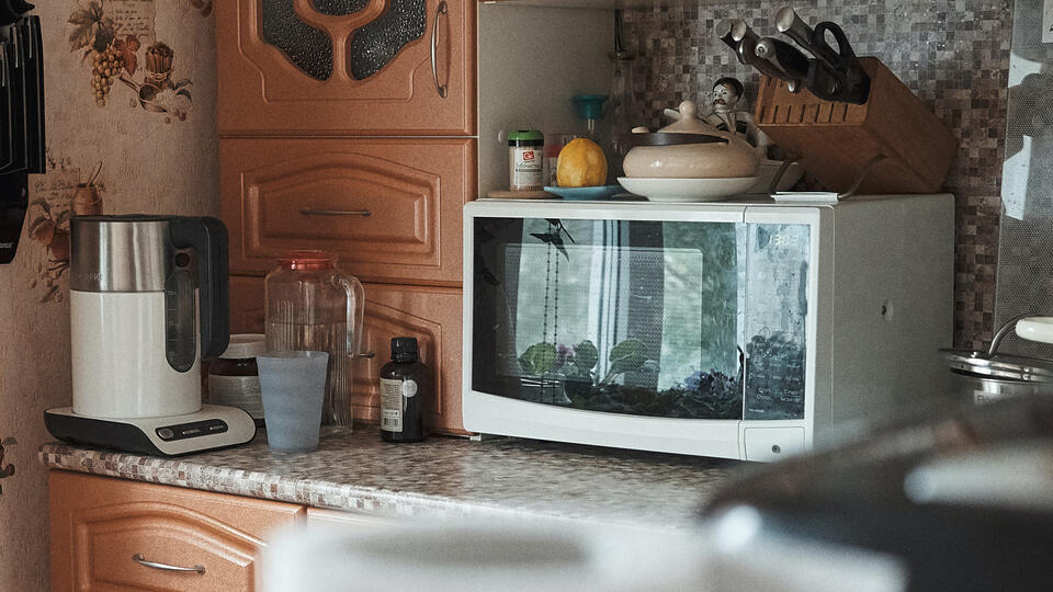 Mikrodalğalı soba xərçəng yaradırmı? - Həkimdən açıqlama