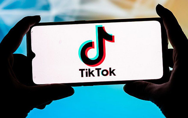 Niderland da dövlət qulluqçularına TikTok-u qadağan edir