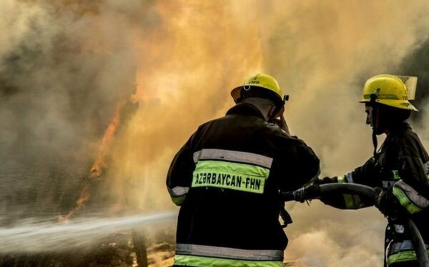 Salyandan acı xəbər gəldi: Ölən və yaralı var