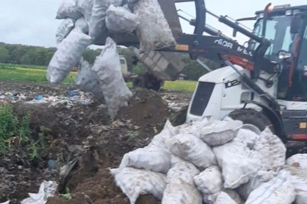 İrandan Azərbaycana gətirilən tonlarla kartof məhv edilib - FOTO