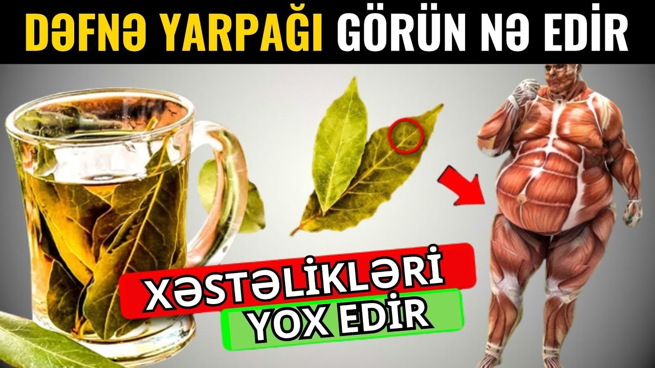 Dəfnə yarpağını qaynadıb,için  - BU XƏSTƏLİKLƏR SAĞALACAQ!