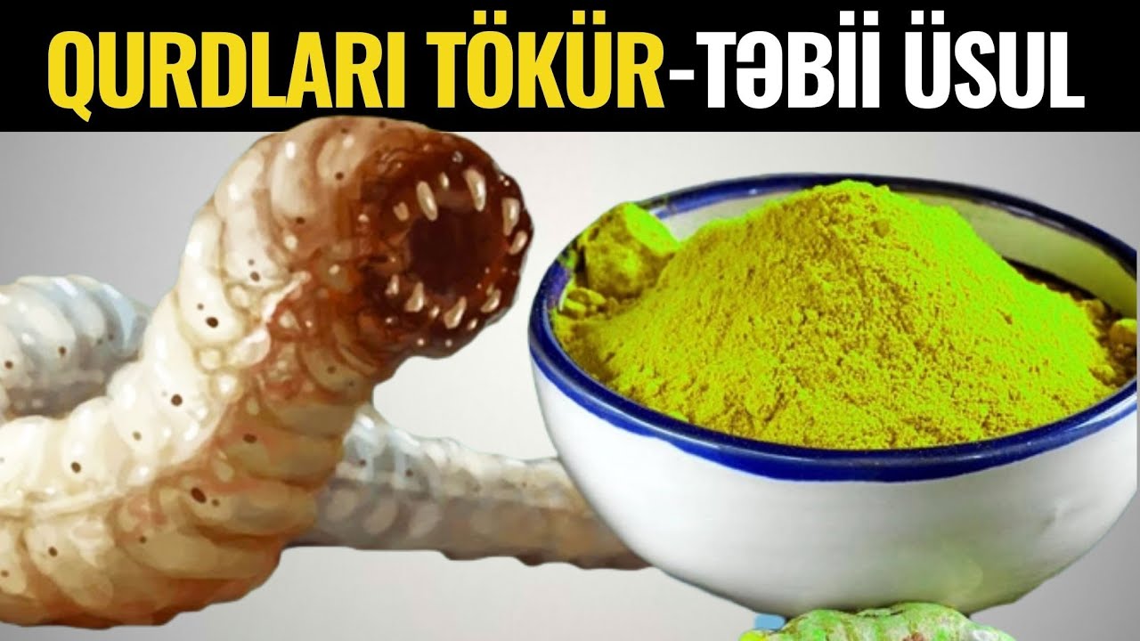 Bağırsaq Qurdlarını Tökür - Təbii Yolla Müalicəsi Budur