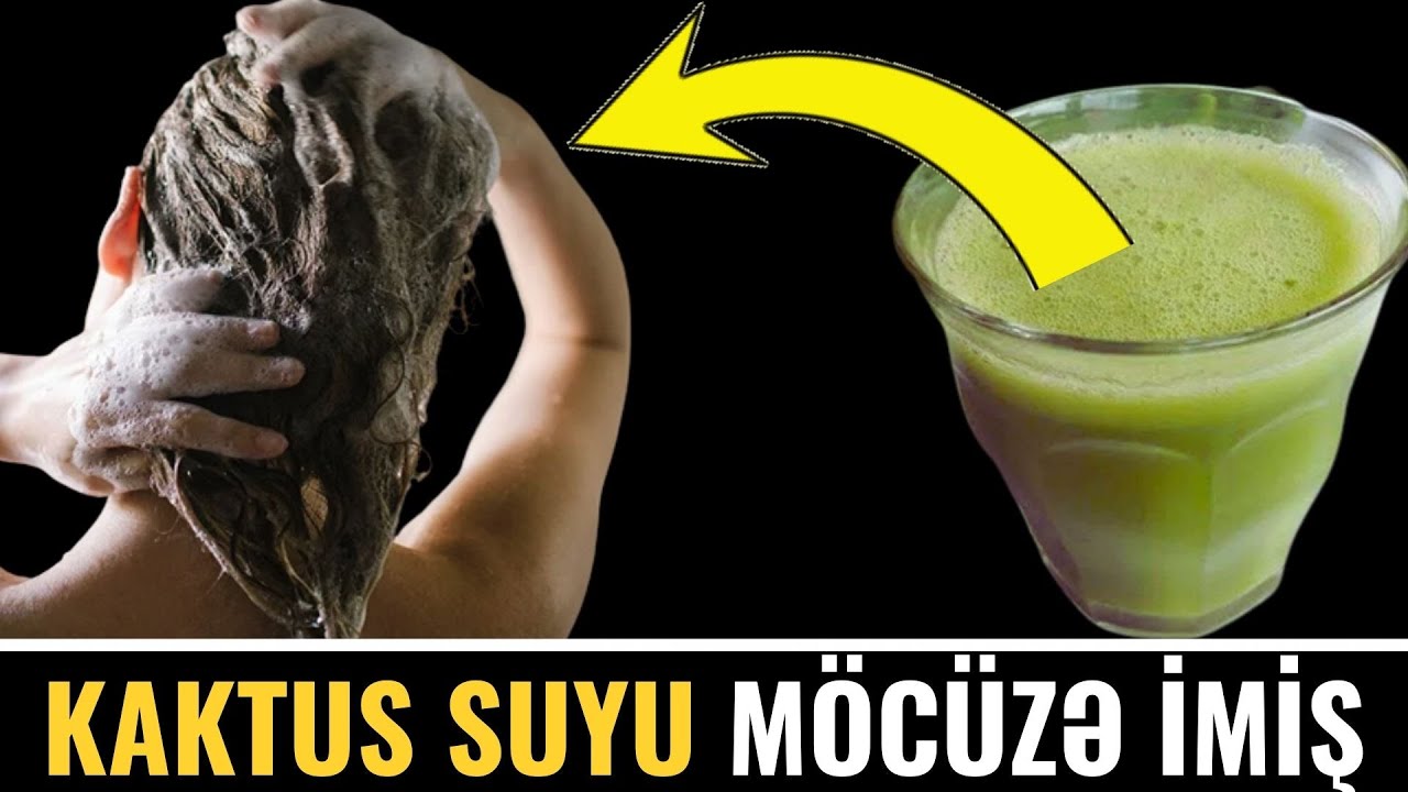 Saçınızı 1 ay Kaktus Suyu ilə yusanız, nə olar? - Kəpək gedir, saç uzanır və...