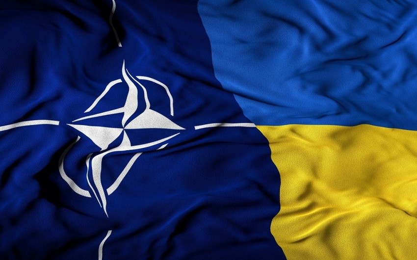NATO və Ukrayna innovasiyalar üzrə dialoqa başlayıb