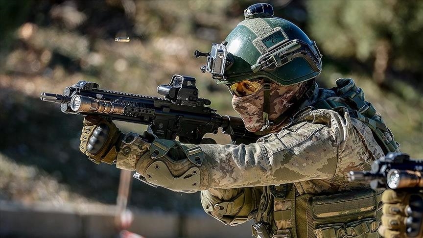 Türkiyə Suriyada onlarla terrorçunu məhv edib