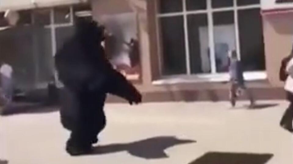 Meymun paltarı geyinmiş kişi yaşlı qadını insult etdi - VİDEO
