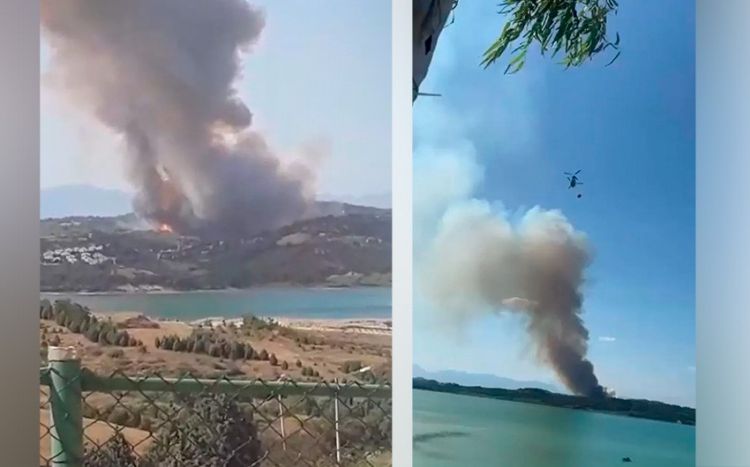Türkiyədə meşə yanğınları başladı
