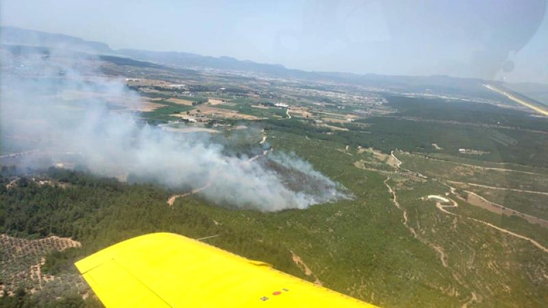Türkiyədə meşə yanğınları başlayıb