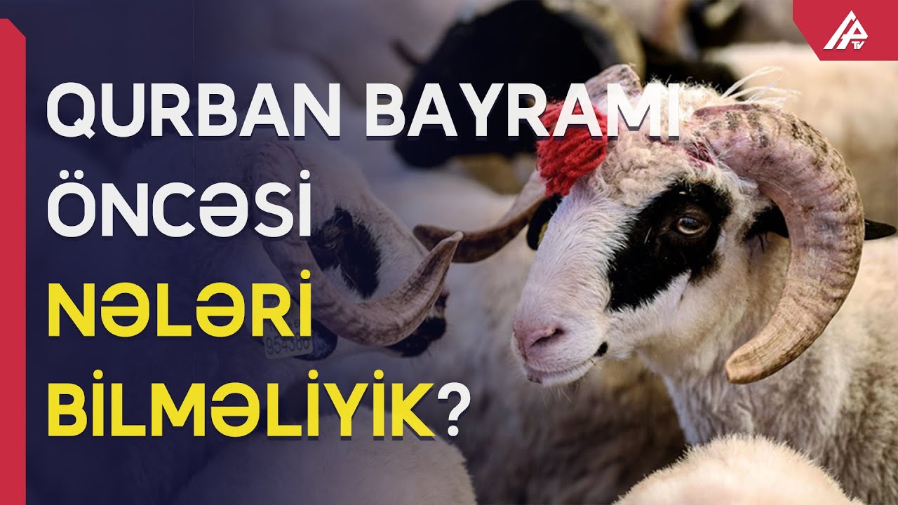 Qurban necə kəsilir və kimlərə paylanılır? —  SUALLARA CAVAB