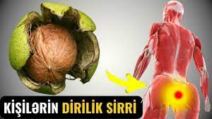 Yaşıl Qozun Nələr Etdiyini 90% İnsan Bilmir (VİDEO)