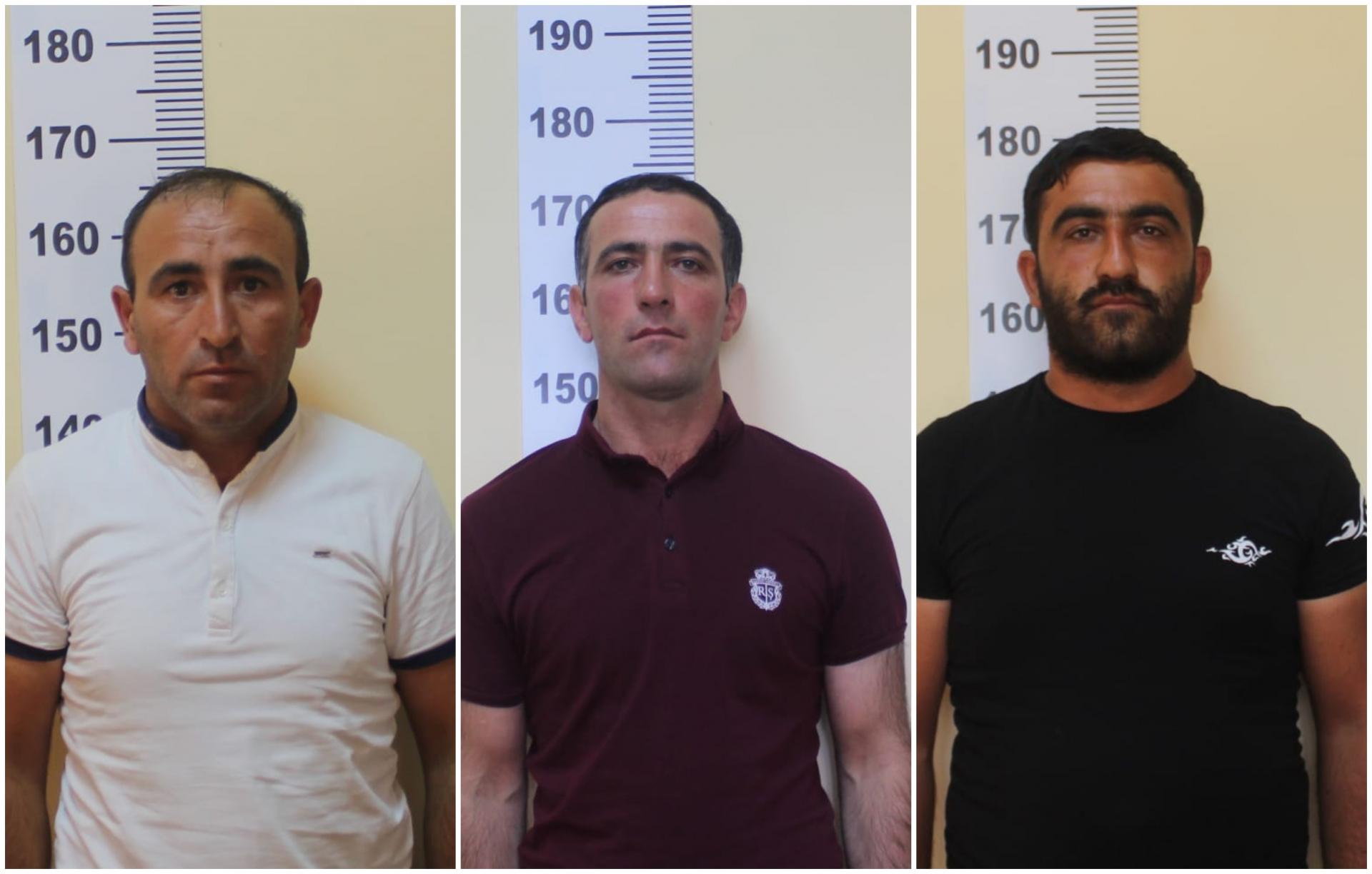 34 800 manatlıq mal-qara oğurlanıb