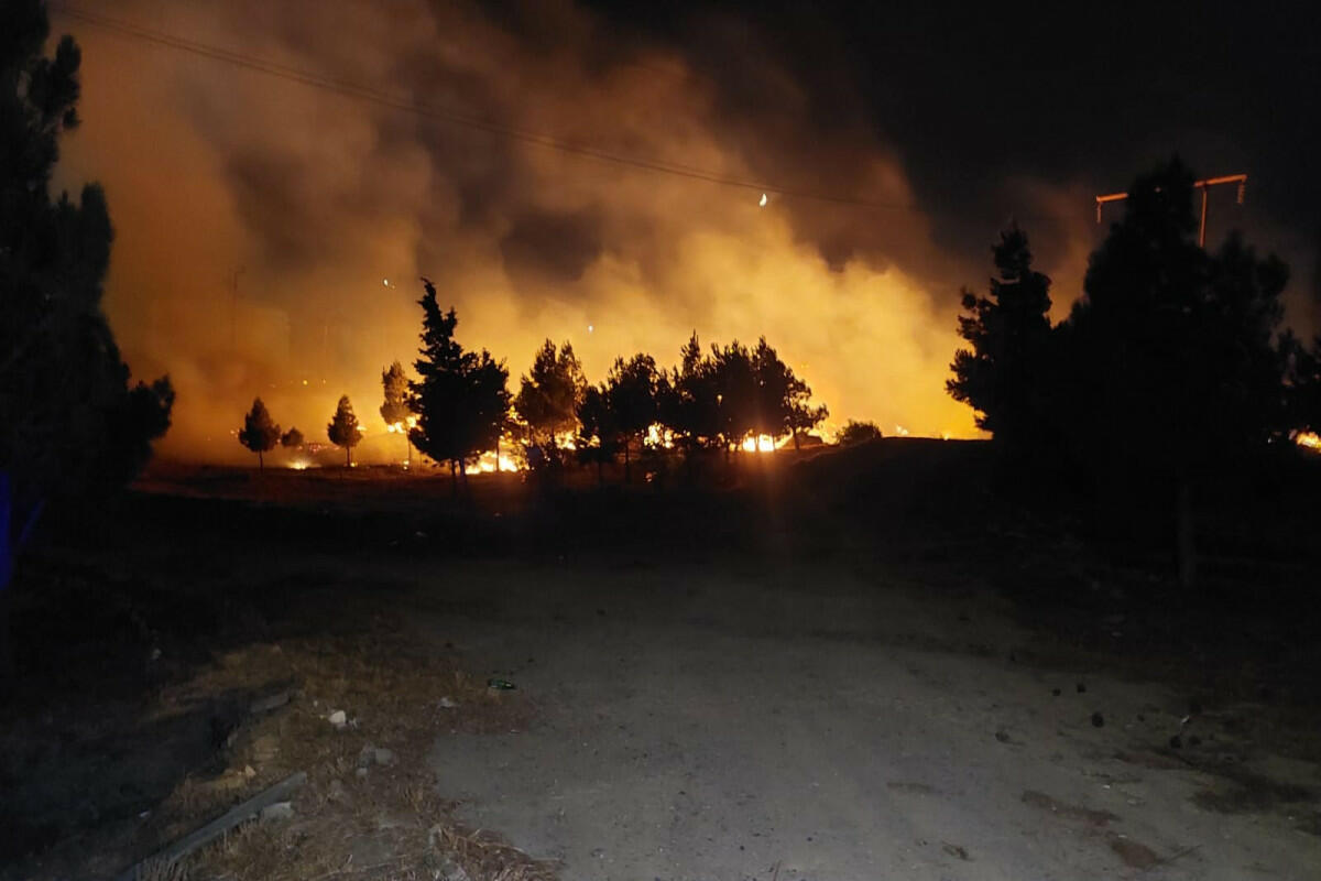 Bakıda qamışlıq sahədə yanğın başlayıb - FOTO