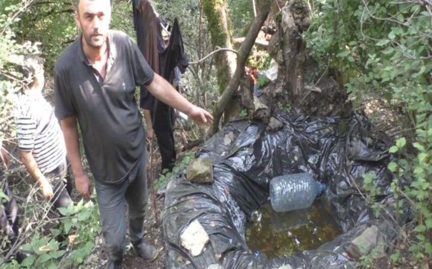 Zaqatala polisi dağlarda əməliyyat keçirdi - Narkotik becərən şəxs saxlanıldı