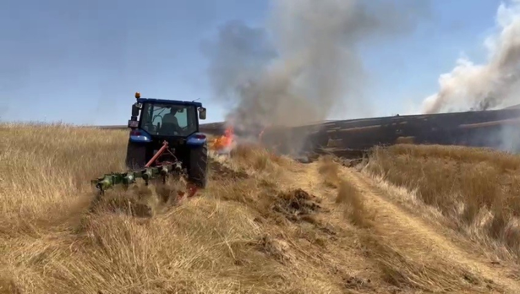3 min hektar buğda sahəsi yanıb kül oldu