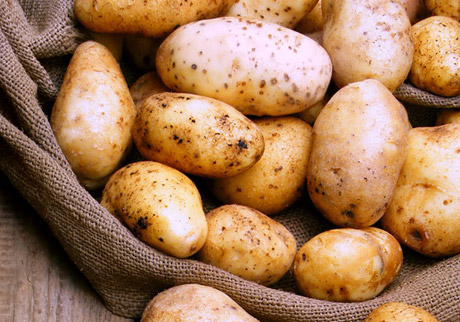 Gədəbəy-Tovuz kartofu YOXA çıxıb – SƏBƏB 